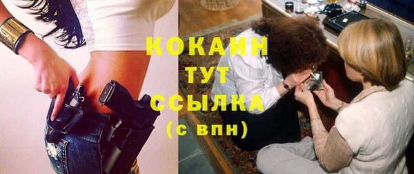 мет Пересвет